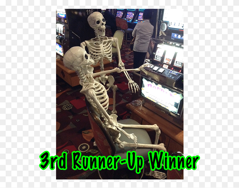 568x601 Congratulations To The 3rd Runner Up In The 1st Annual Skeleton, Person, Human, Interior Design HD PNG Download