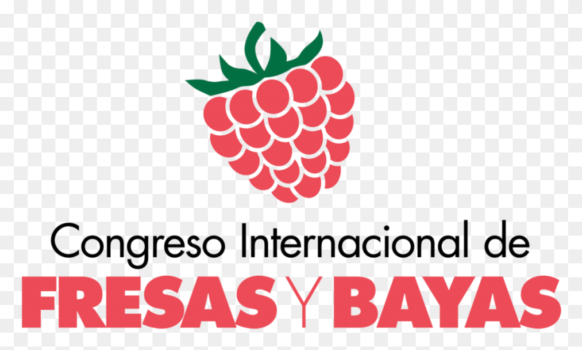 920x526 Congreso Internacional De Bayas Y Fresas Anadolu Hayat Emeklilik A.s, Text, Plant, Fruit HD PNG Download
