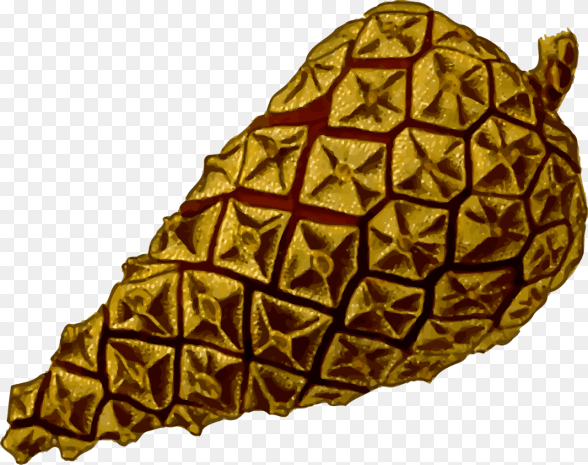 Conifer Cone Conifers Seed Plants, Ammunition, Grenade, Weapon Sticker PNG