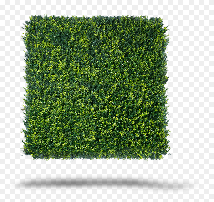 773x730 Conoce Nuestros Modelos De Follaje Artificial Lawn, Bush, Vegetation, Plant HD PNG Download