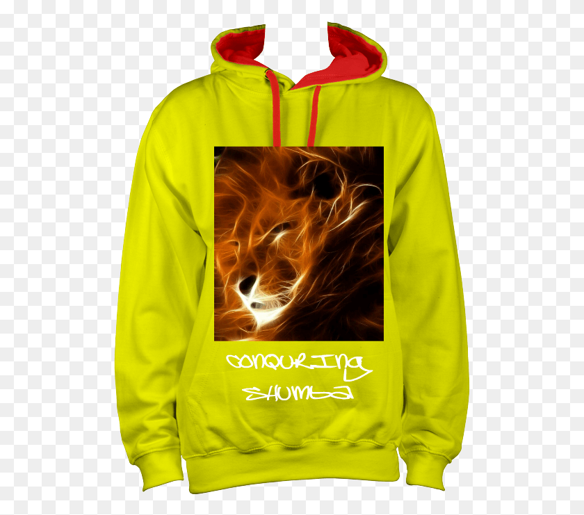 517x681 Conquering Lion Of Judah Hoodie Sweatshirt, Clothing, Apparel, Sleeve HD PNG Download