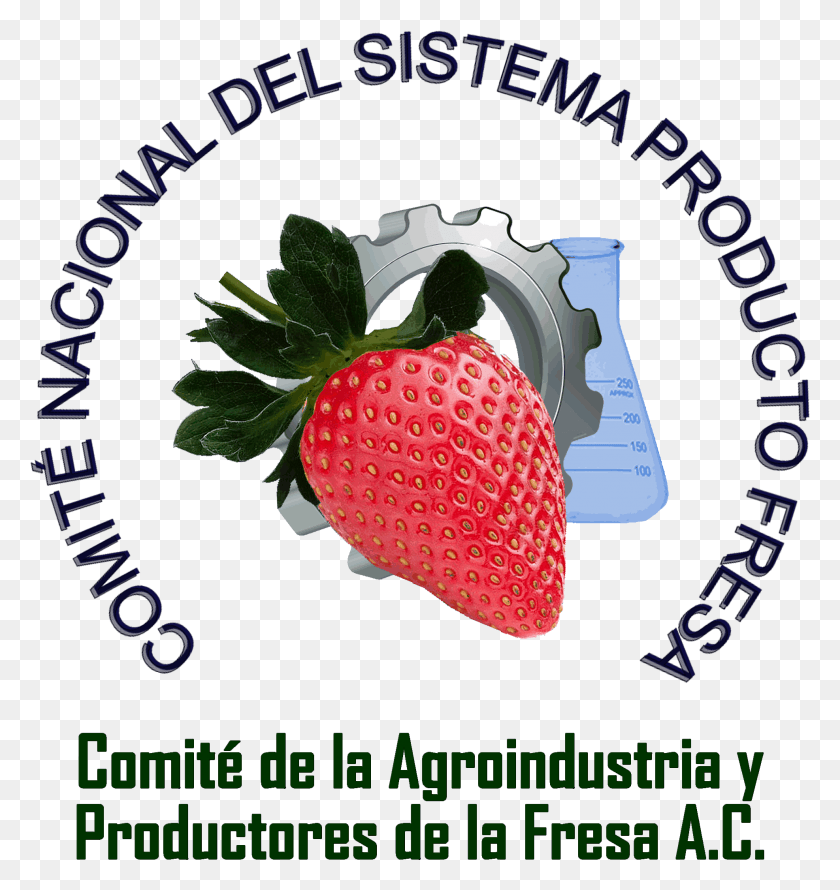 1974x2102 Consejo Nacional De La Fresa A, Fresa, Fruta, Planta Hd Png