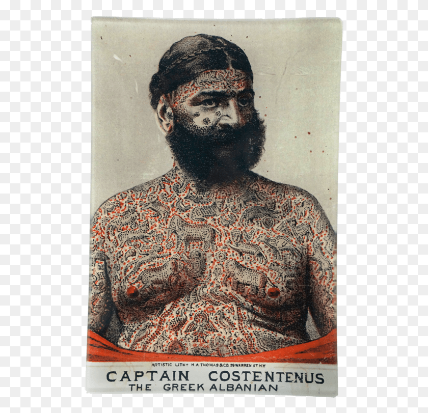 509x751 Constantine Barnum, La Piel, La Cara, Persona Hd Png