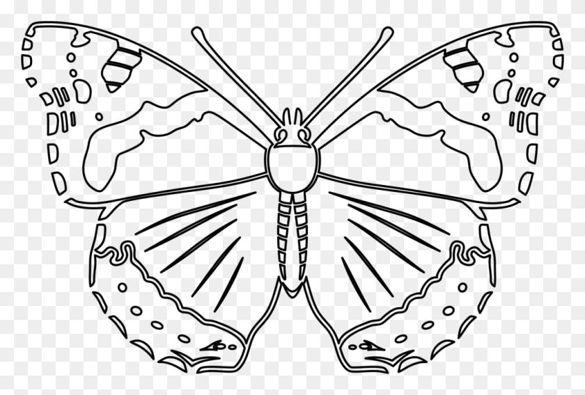 1024x667 Constantine Primary Bird And Butterfly Templates Red Admiral Butterfly Outline, Gray, World Of Warcraft HD PNG Download
