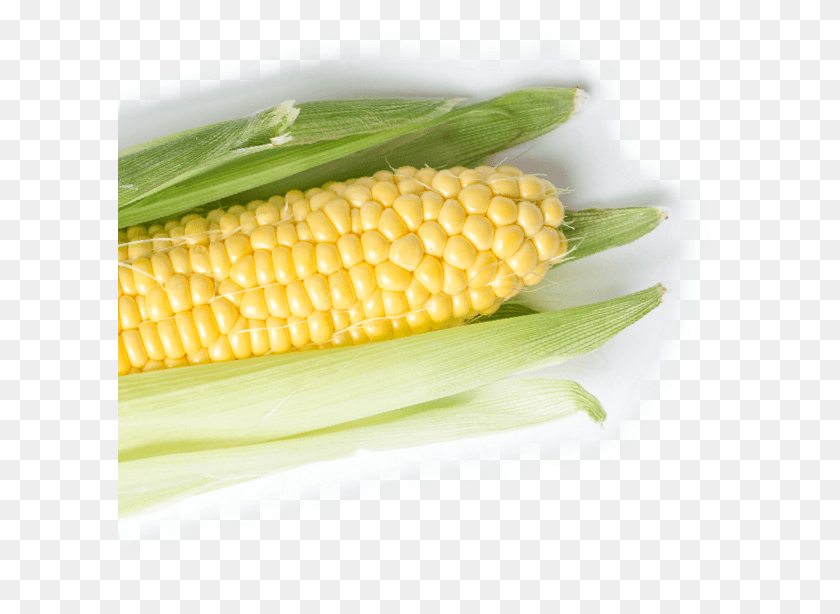 604x554 Consuming Raw Or Undercooked Burgers Poultry Steaks Corn Kernels, Plant, Vegetable, Food HD PNG Download