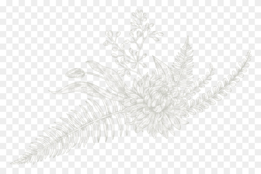 988x634 Contact Sketch, Lace, Bird, Animal HD PNG Download
