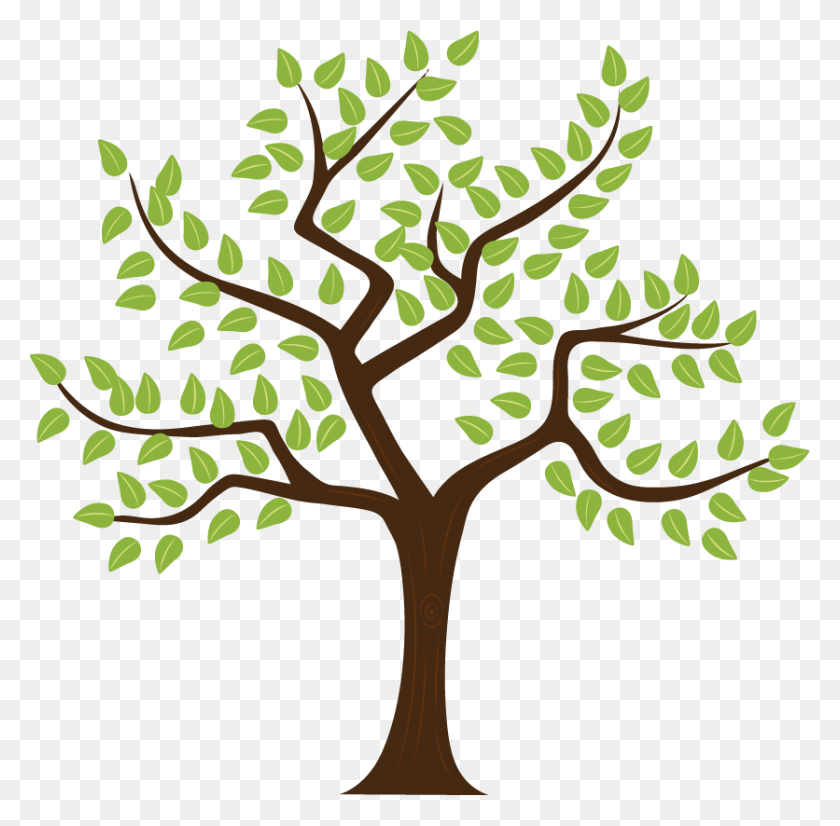 836x822 Contact Us Tree Vector With A Heart, Tree, Plant, Vegetation HD PNG Download