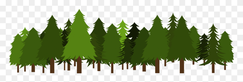 1011x290 Contactez Nous Pine Tree Clip Art, Дерево, Растение, Ель Hd Png Скачать