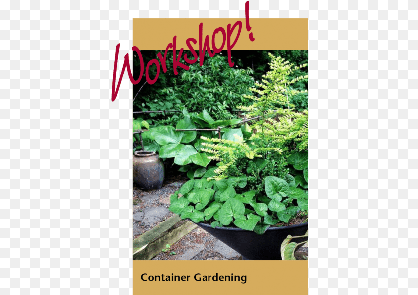 Container Gardening Art Plantation, Outdoors, Potted Plant, Planter, Plant Clipart PNG