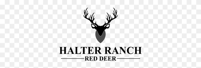 347x225 Contest Halter Ranch Red Deer Elk, Eclipse, Astronomy, Armor HD PNG Download