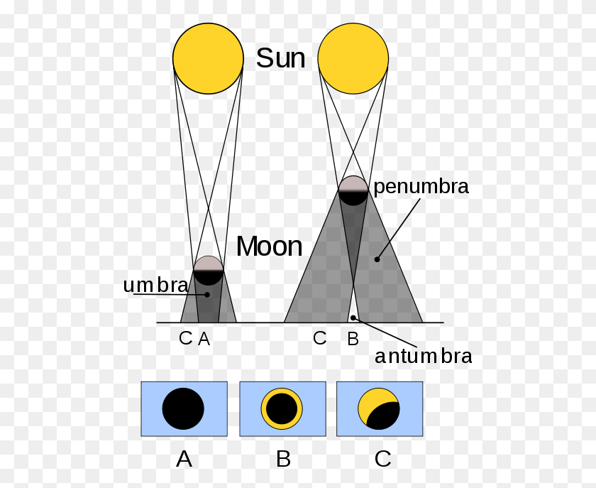 491x627 Contrasting A Total Solar Eclipse Annular Eclipse B Types Of Solar Eclipse, Pac Man, Moon, Outer Space HD PNG Download