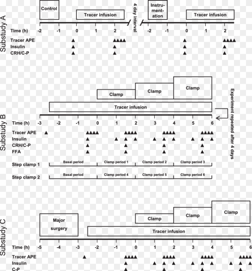 Control Anesthesia Only Diagram, Scoreboard, Chart, Plan, Plot Clipart PNG