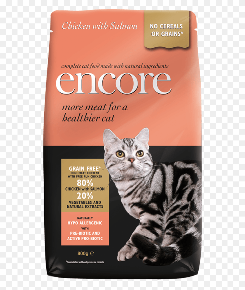 545x931 Cookie Policy Grain Free Cat Food Uk, Advertisement, Poster, Flyer HD PNG Download