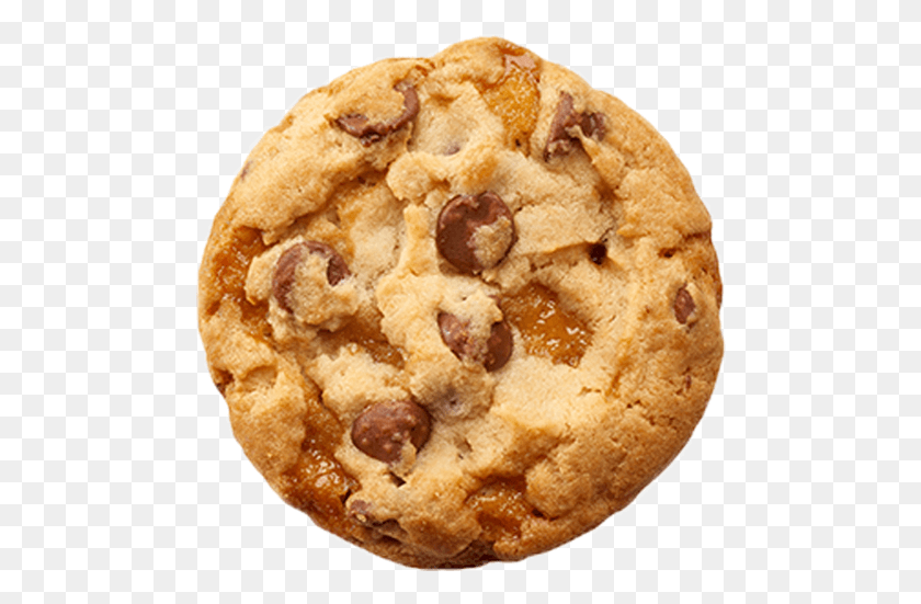 484x491 Cookie Transparent Background Peanut Butter Cookie, Food, Biscuit, Bread HD PNG Download