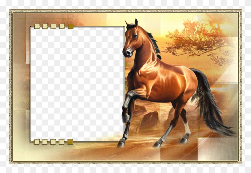 1280x853 Cool Clip Art Frames Лошади Рамка Иллюстрации Лошади Фоторамка, Лошадь, Млекопитающее, Животное Hd Png Download