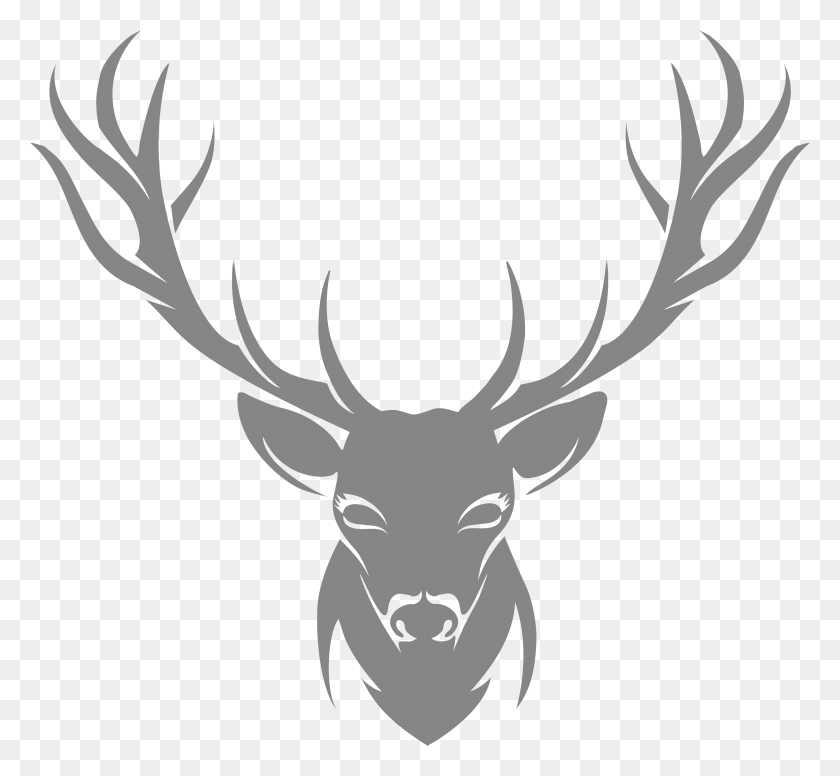 3489x3205 Cool Deer Head Stencil, Antler, Deer, Wildlife HD PNG Download