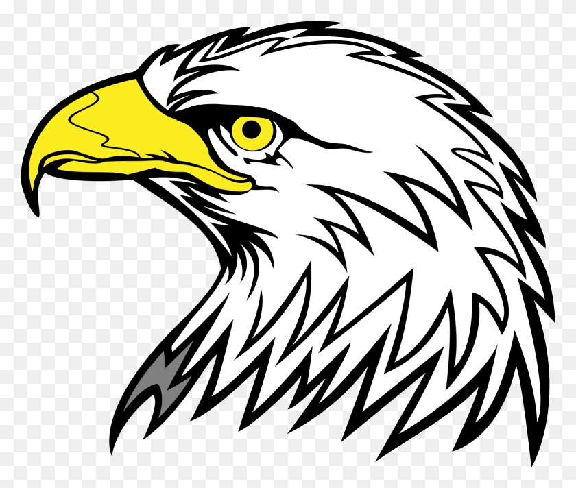 1558x1303 Cool Nfl Logos Eagles Cool Logos For Schools, Eagle, Bird, Animal HD PNG Download