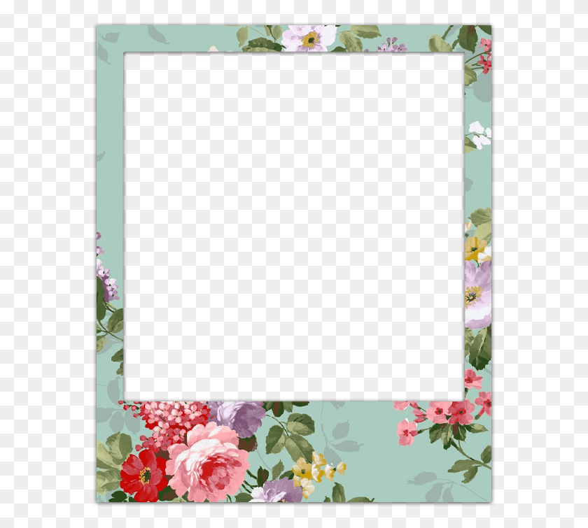 577x695 Cool Pictures Cute Tumblr Polaroid Frame Transparent, Plant, Flower, Blossom HD PNG Download