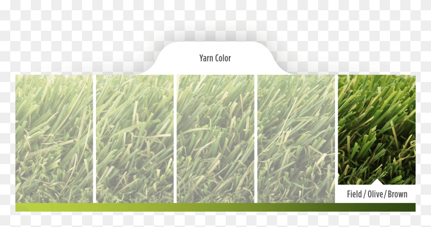 2402x1180 Coolflo Technology Is The Latest Innovation In The Sweet Grass, Vegetation, Plant, Bush HD PNG Download
