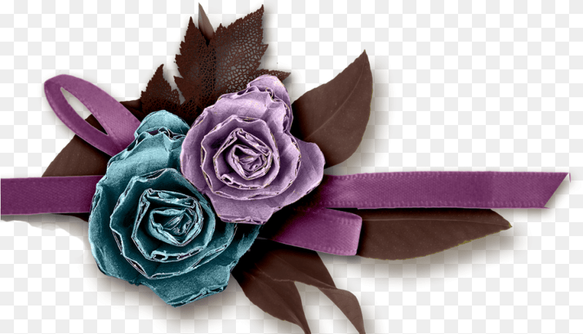 1020x584 Copy Of Cluster, Flower, Plant, Rose, Accessories Transparent PNG