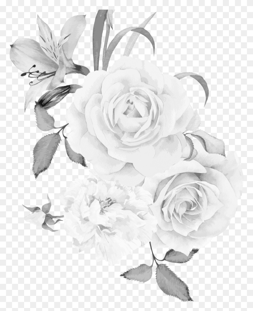 785x977 Copyblk1 Прозрачная Линия Цветов, Растение, Цветок, Цветение Png Скачать
