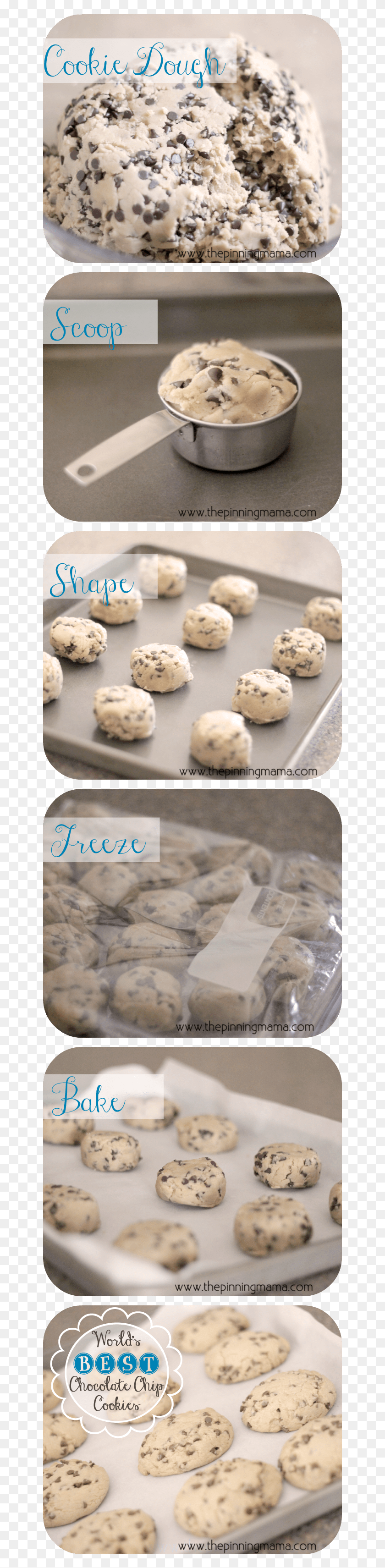 653x3361 Copycat Panera Chewy Chocolate Chip Cookies By Chocolate Chip Cookie, Sesame, Seasoning, Food HD PNG Download