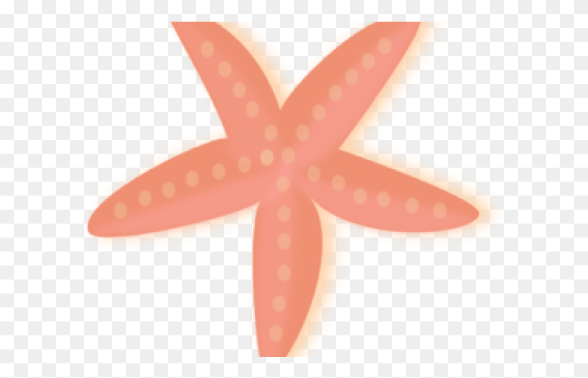 611x481 Coral Clipart Starfish Starfish, Cross, Symbol, Star Symbol HD PNG Download