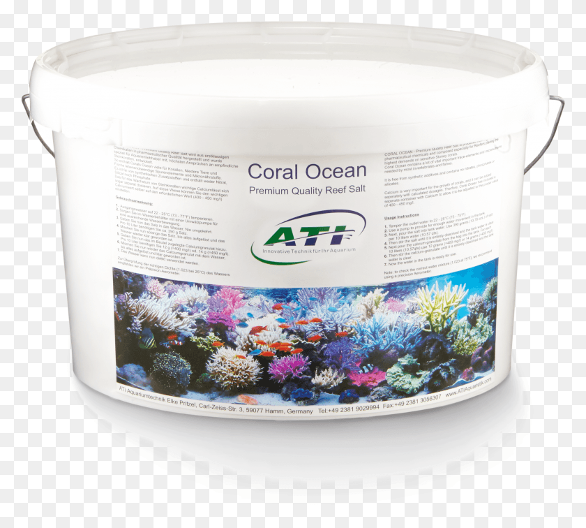 2683x2397 Coral Ocean Camomile HD PNG Download