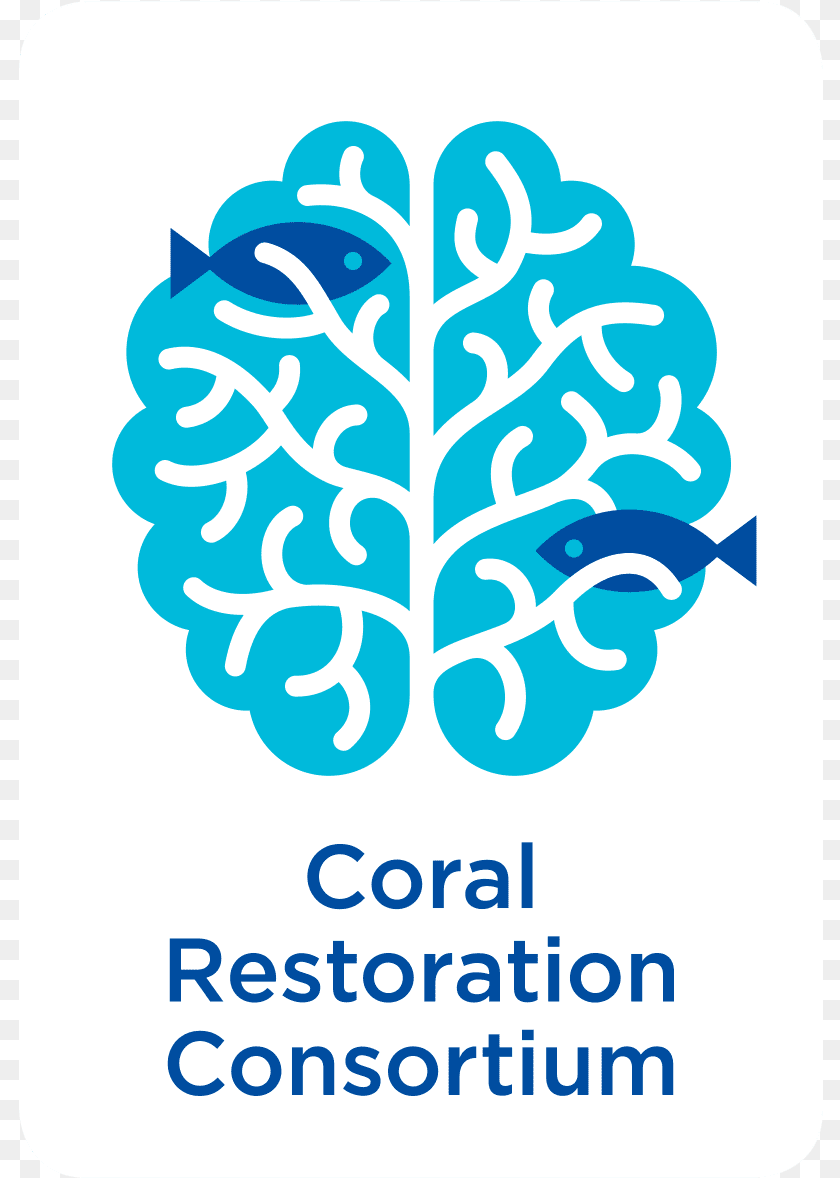 805x1178 Coral Restoration Consortium, Nature, Outdoors, Neighborhood, Snow Transparent PNG
