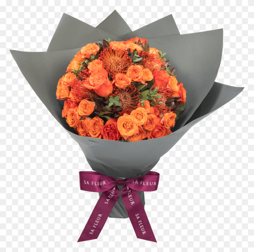 819x814 Coral Zest Garden Roses, Plant, Flower Bouquet, Flower Arrangement HD PNG Download