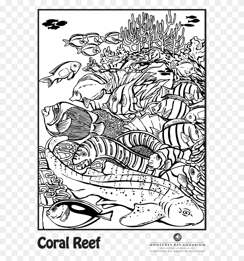 583x837 Coralreef Coloring Book, Doodle HD PNG Download