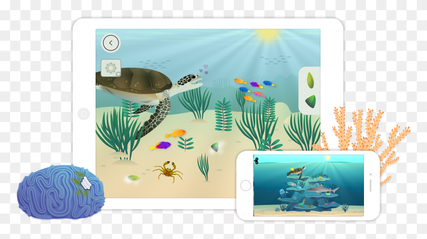 3179x1674 Coralreef Hero Aquarium, Tortoise, Turtle, Reptile HD PNG Download