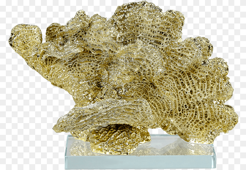 789x580 Corduroy On Base 10 Gold Bronze Sculpture, Mineral, Sea, Nature, Outdoors Transparent PNG