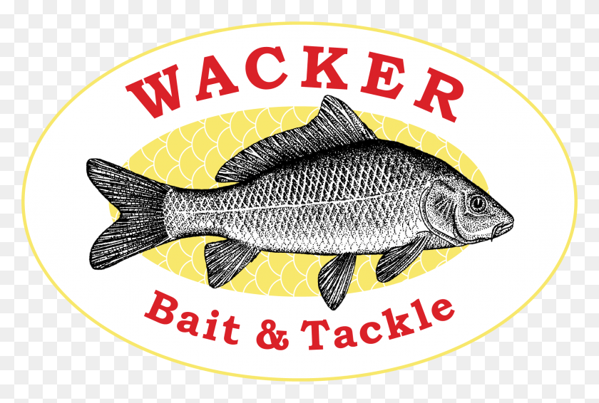 2188x1420 Corey Tedesco Profile Picture Wacker Logo Pomacentridae, Perch, Fish, Animal HD PNG Download
