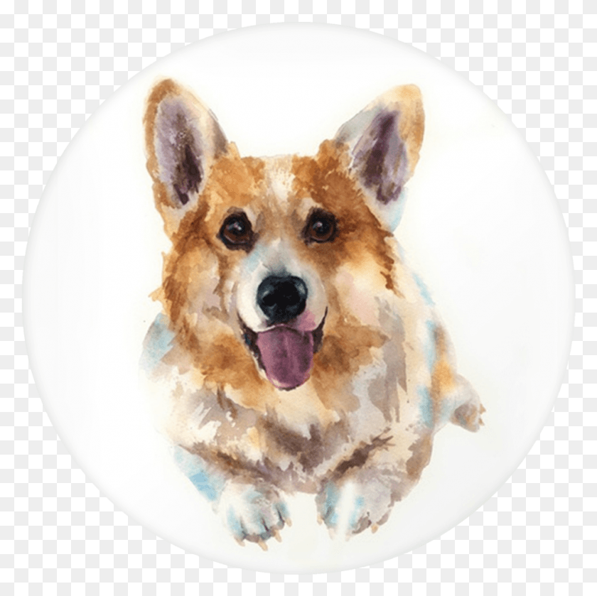951x951 Corgi Painting, Dog, Pet, Canine HD PNG Download