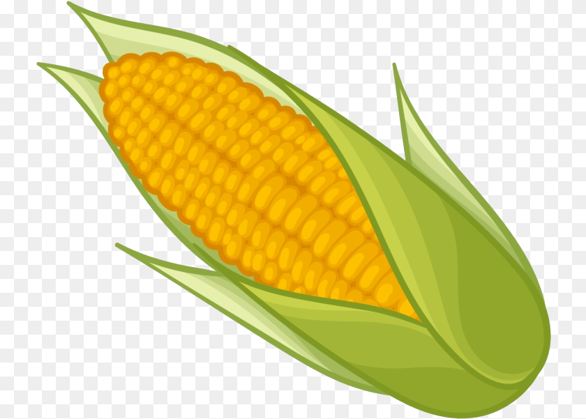 739x601 Corn Clipart Sweet Clip Art Corn Clipart, Food, Grain, Plant, Produce Transparent PNG