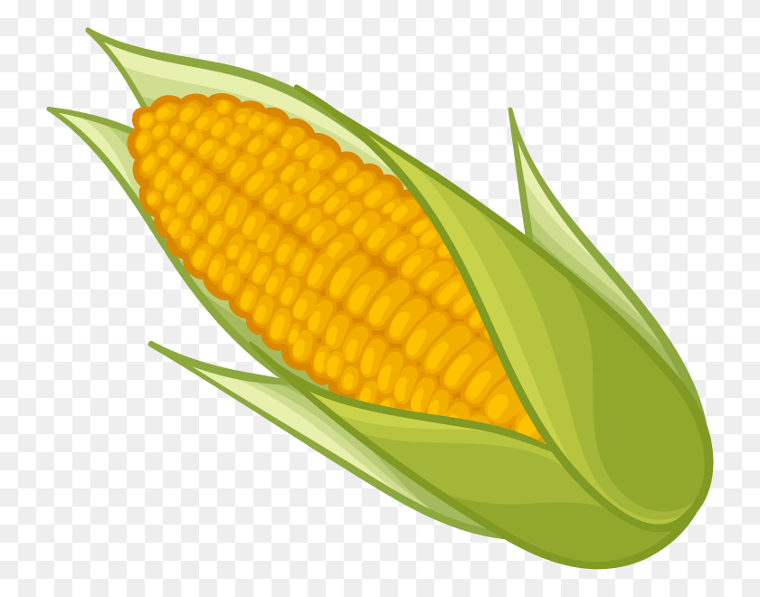 738x600 Corn Clipart Sweet Corn Clip Art, Plant, Vegetable, Food HD PNG Download