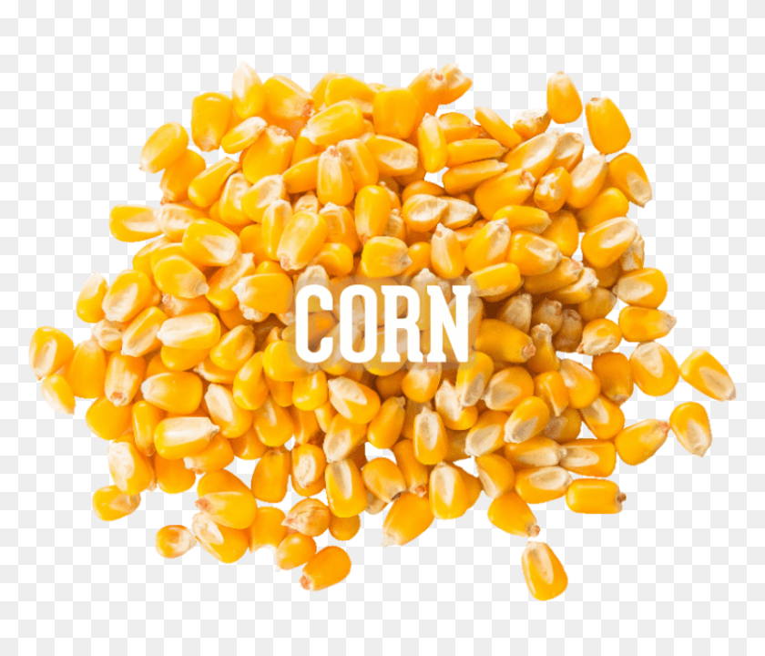 787x666 Corn Corn Kernels, Plant, Vegetable, Food HD PNG Download