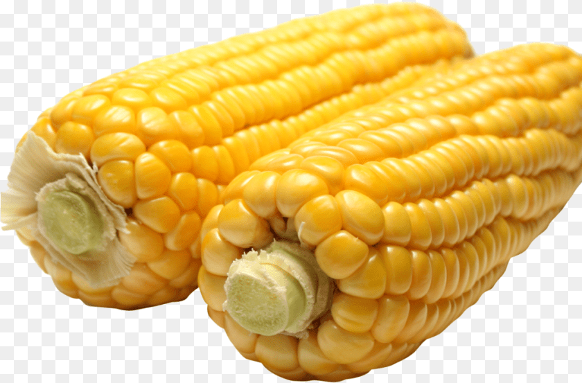 1025x675 Corn Image1 Corn, Food, Grain, Plant, Produce PNG