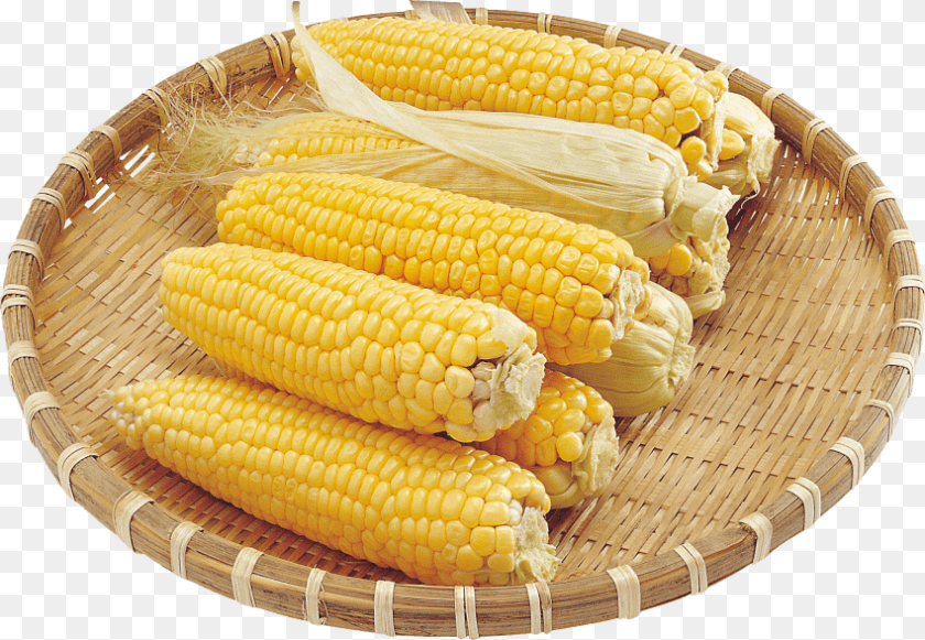 850x588 Corn Images Sweet Corn, Produce, Food, Plant, Grain PNG