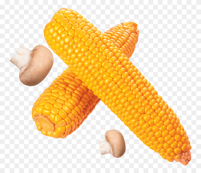 763x660 Кукуруза На Кукурузе, Растение, Гриб, Овощи Hd Png Скачать