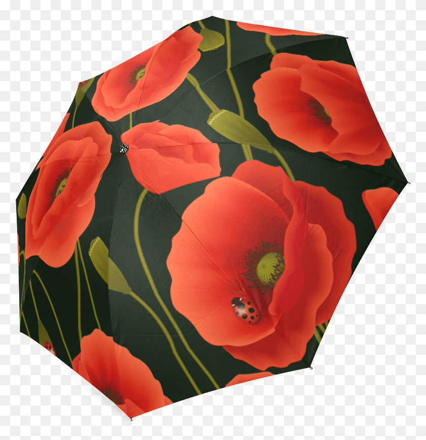 780x808 Corn Poppy, Plant, Flower, Blossom HD PNG Download