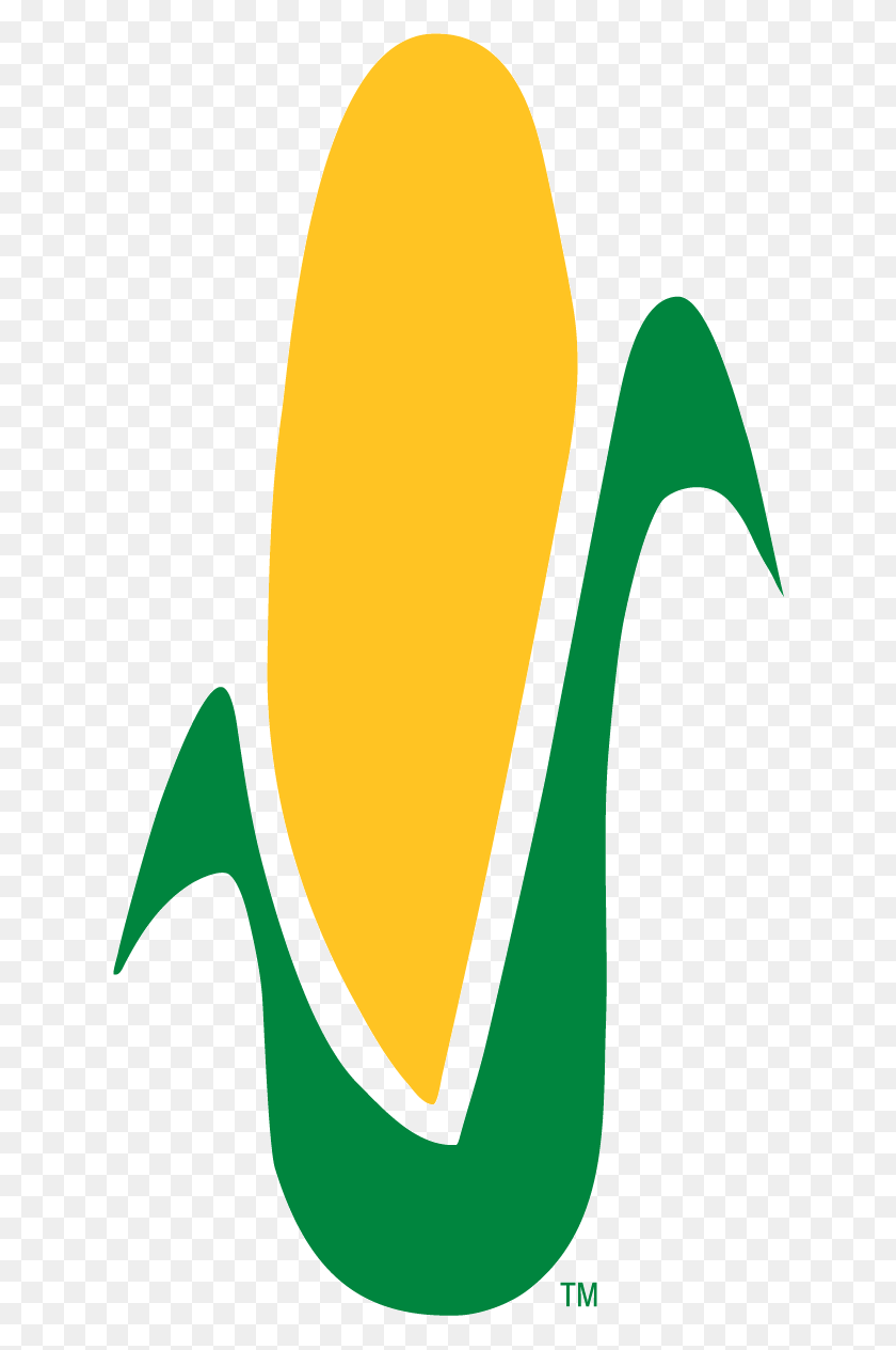 630x1204 Corn Stalk Coloring Page, Logo, Symbol, Trademark HD PNG Download