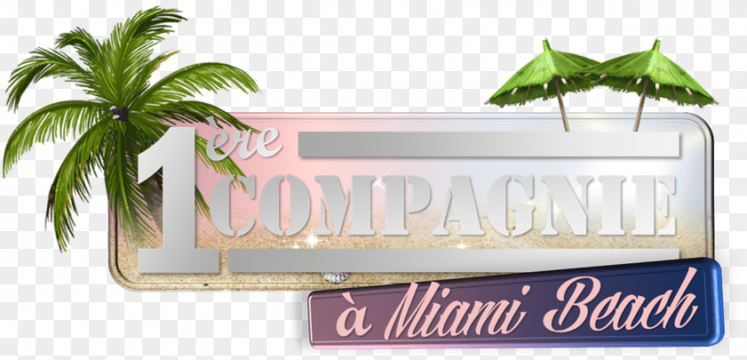 Cornering Is Not A Crime, Plant, Tree, Summer, Palm Tree PNG
