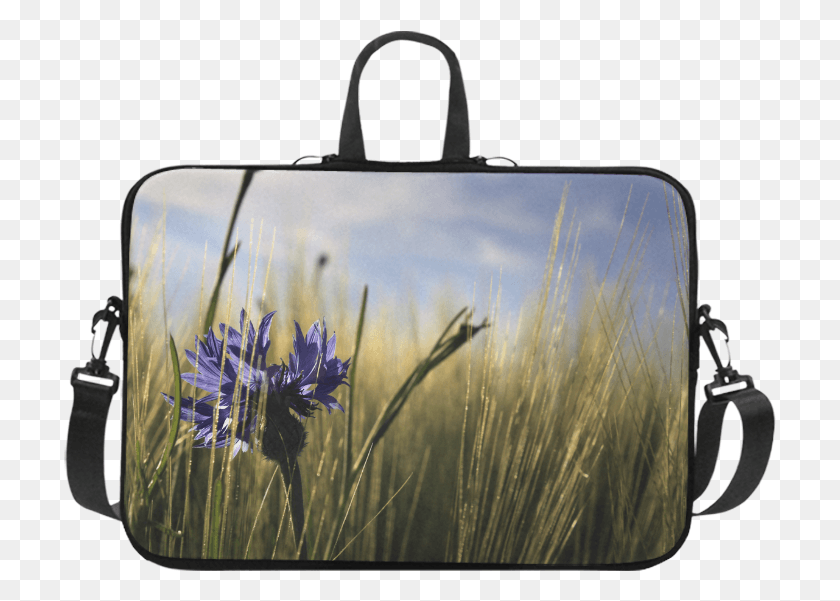 713x541 Cornflower Bluebottle Wheat Field Summer Laptop Handbags Handbag, Plant, Bag, Mirror HD PNG Download