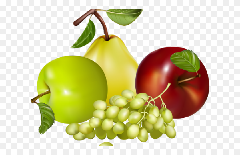 629x481 Cornucopia Clipart Grape Fruit Transparent Clipart, Plant, Food, Pear HD PNG Download