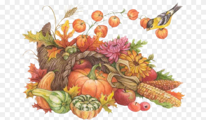 671x492 Cornucopia Service Thanksgiving Watercolor Clip Art, Fruit, Apple, Produce, Plant Clipart PNG