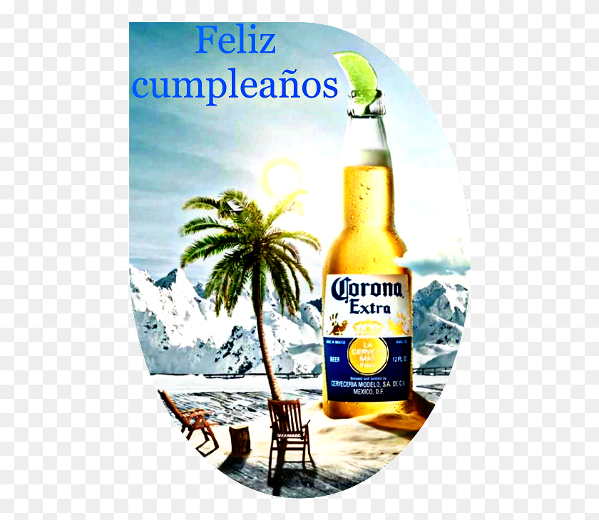 480x670 Corona Extra K Visual, Beer, Alcohol, Beverage HD PNG Download