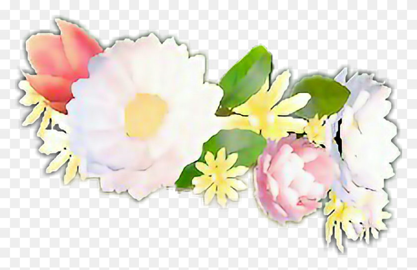 848x528 Corona Flower Flores Snapchat Coronadeflores King Peony, Plant, Petal, Blossom HD PNG Download