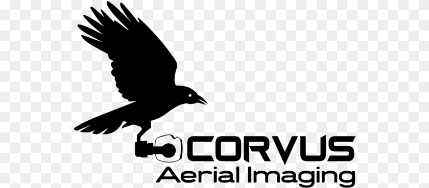 Corvus Black Hawk, Gray Sticker PNG